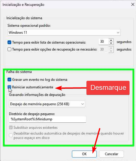 Propriedades de sistema - Avançado